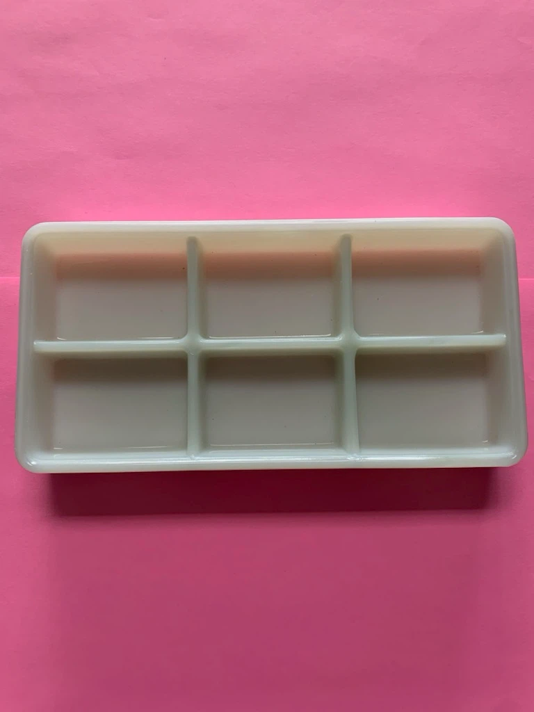 American Optical Glass Case