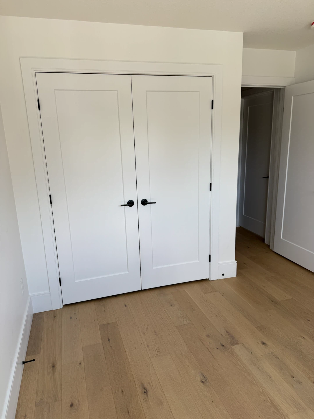 Room for rent!! - photo 3
