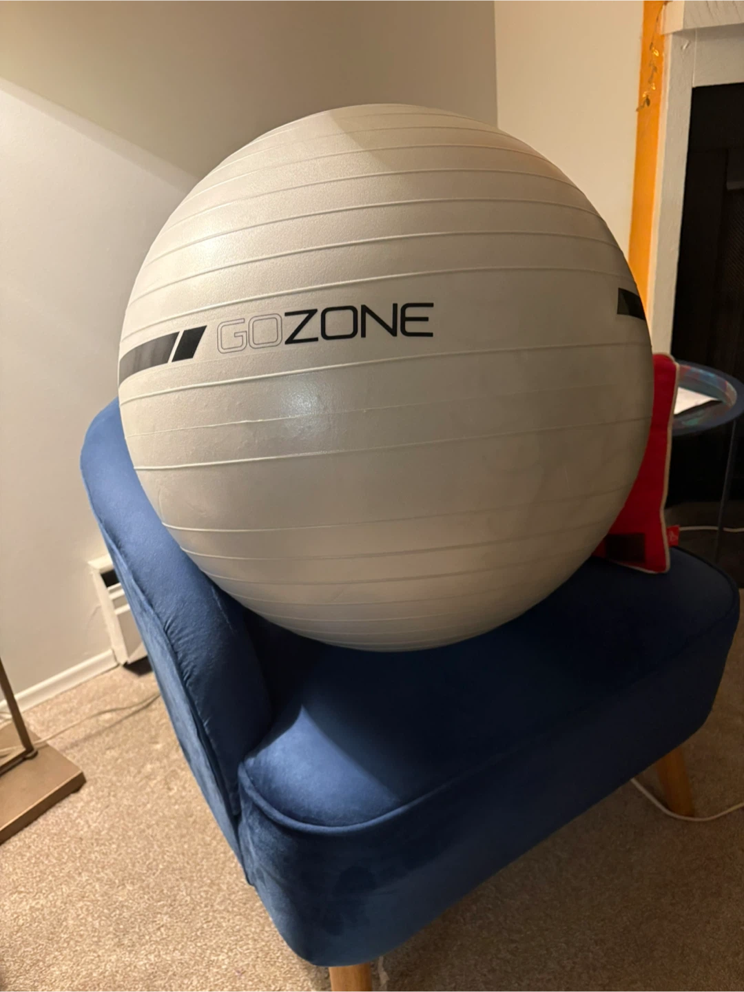 Exercise Ball