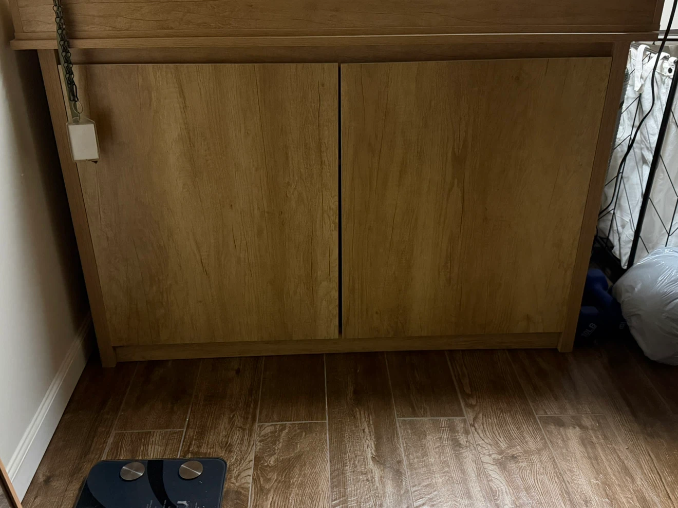 Oak Finish Cabinet with Doors and Shelves