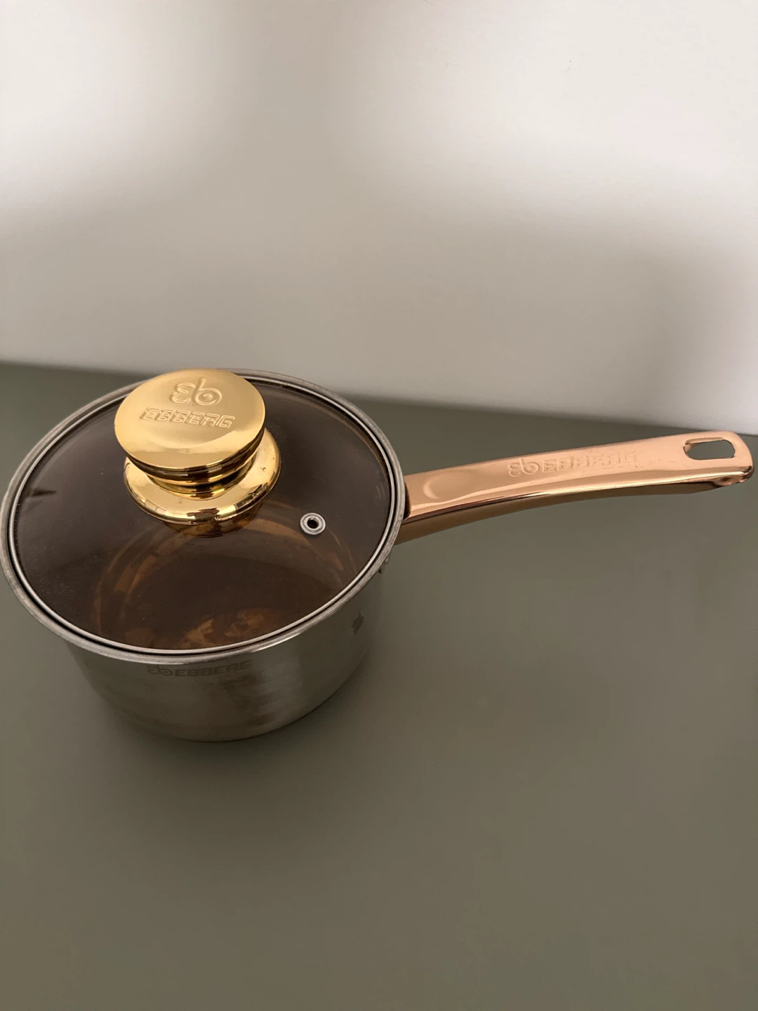Ebberg Stainless Steel Saucepan with Lid