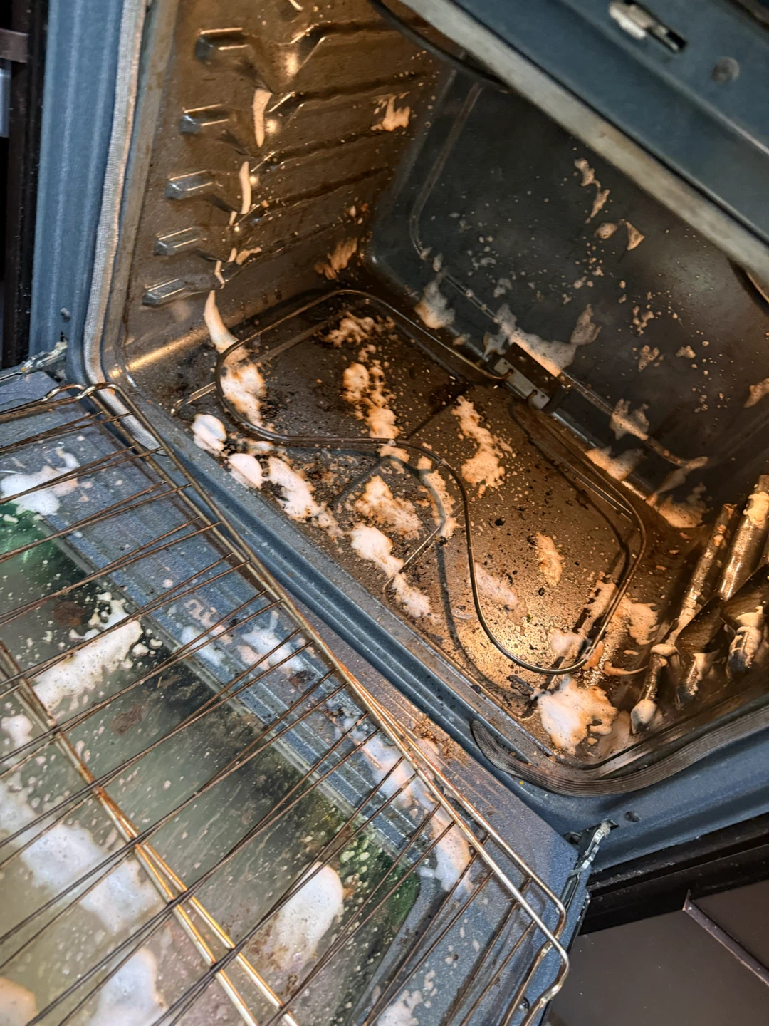 Professional residential cleaning services and carpet clean - photo 3