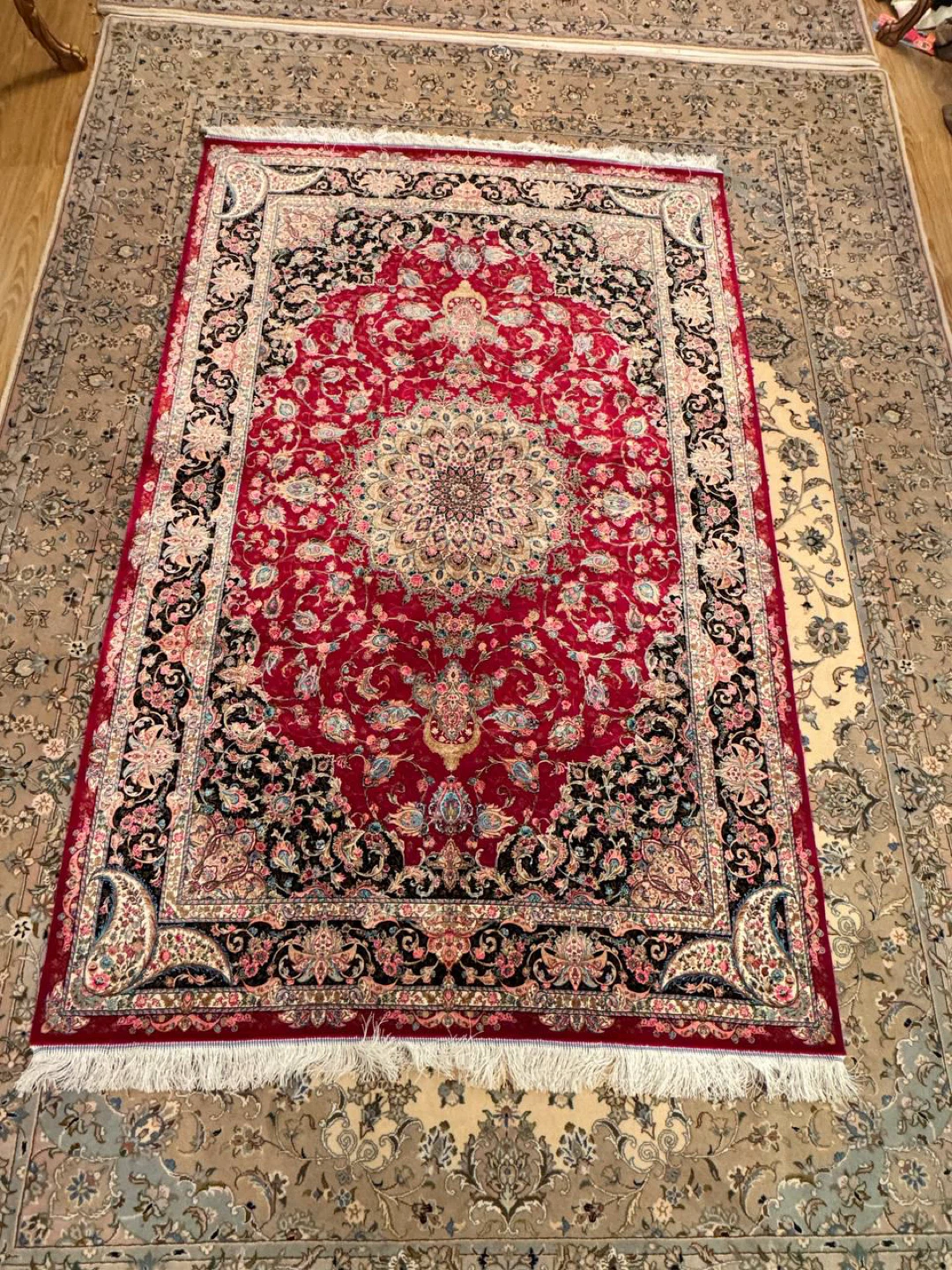 Area Rug - Red and Black Floral