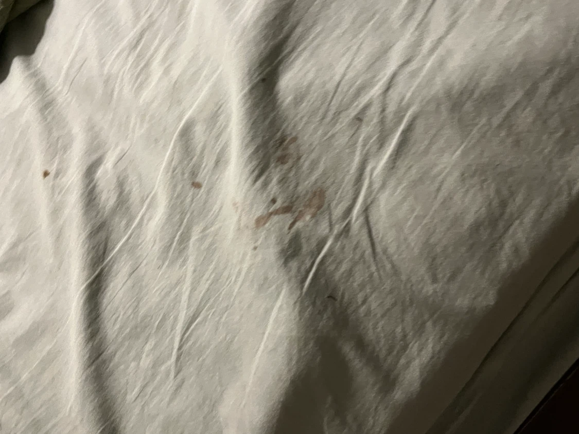IKEA Queen Size Bedding & Pillow - photo 5