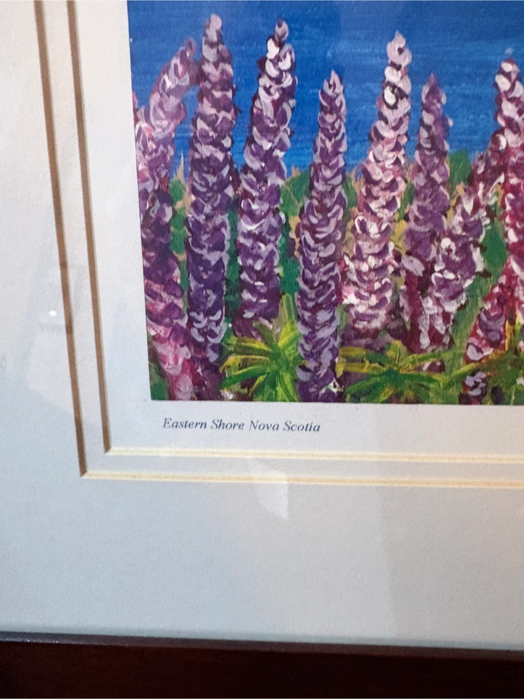 John Comstock Framed Print - Eastern Shore Nova Scotia - photo 3