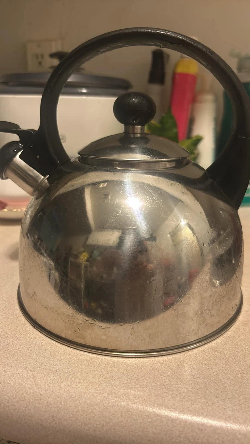 Stainless Steel Whistling Kettle