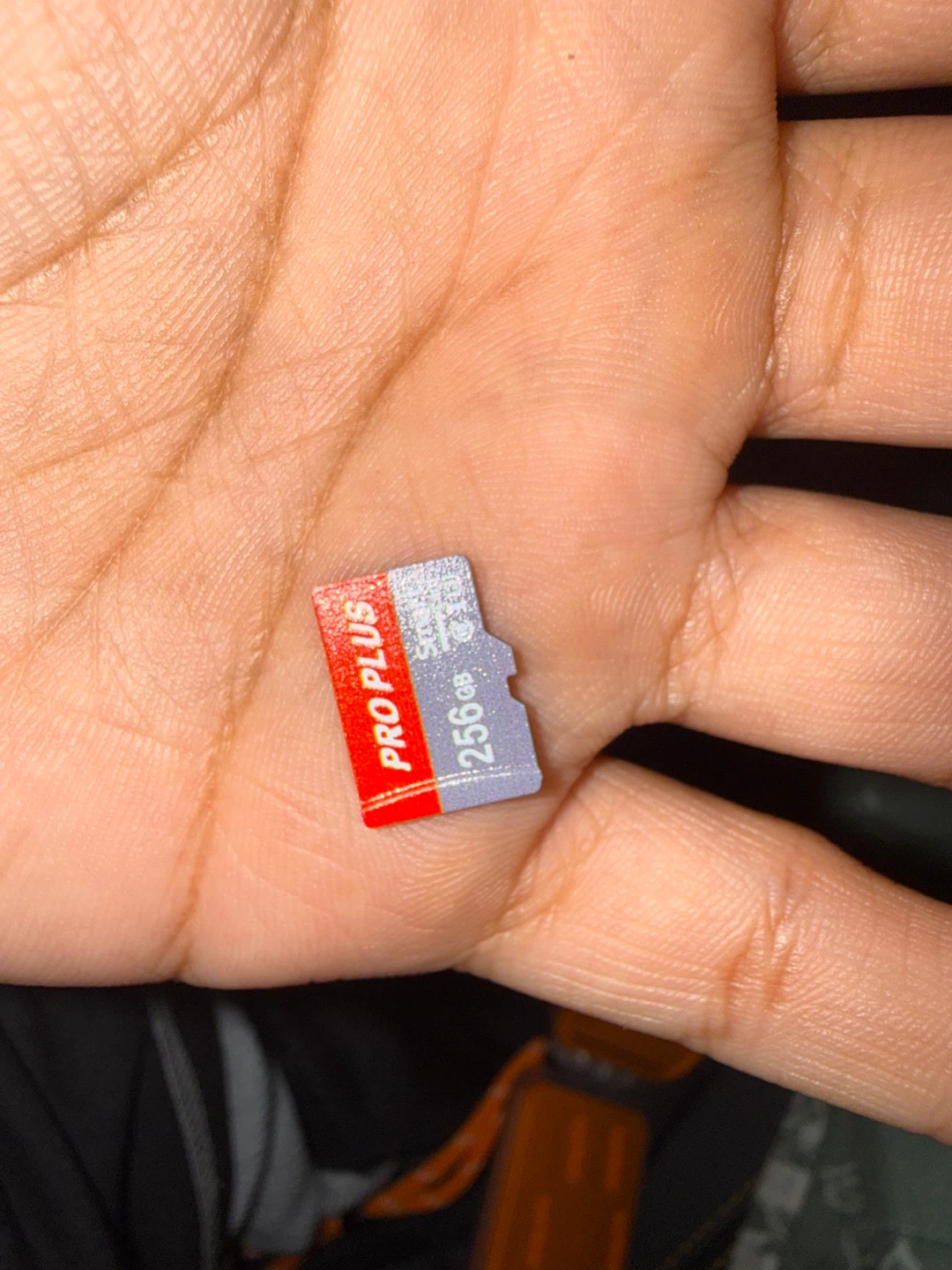 Samsung PRO Plus 256GB microSD Card - photo 2