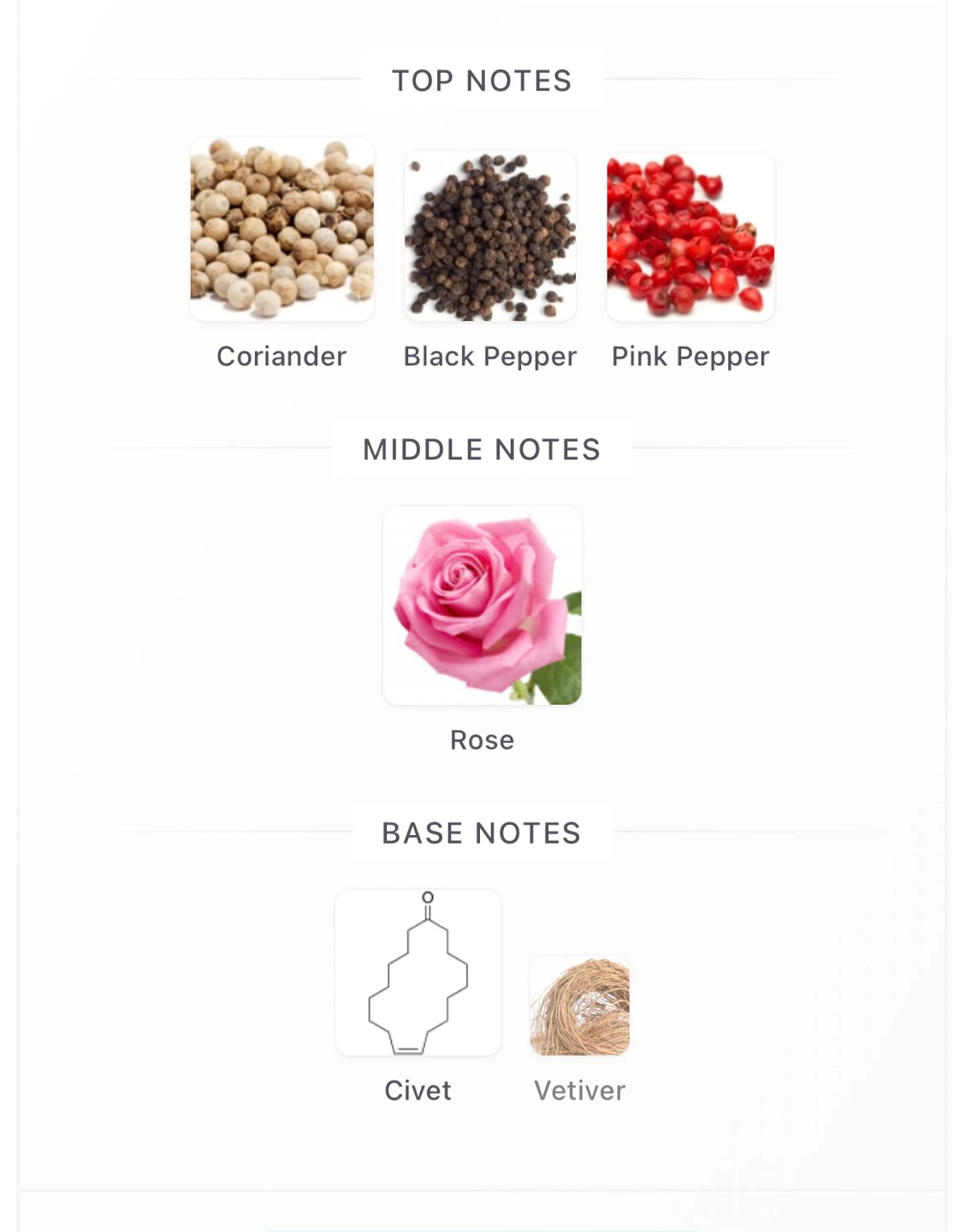 The Different Company Rose Poivrée EDP 100ml - photo 4