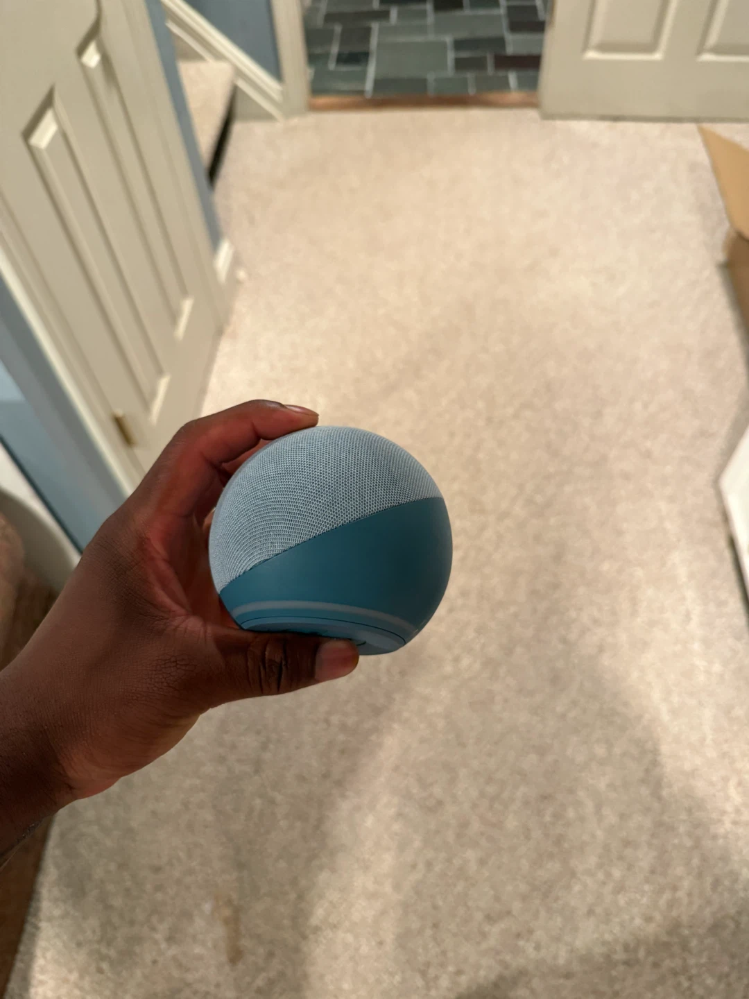 Amazon Echo Dot EG5(4th Gen) Blue