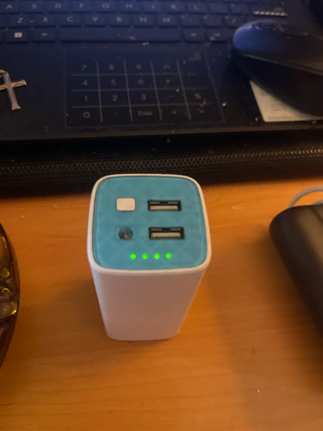 White and Teal Dual USB Wall Charger