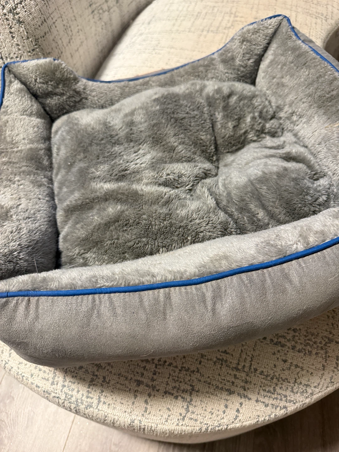 Gray Pet Bed with Blue Trim