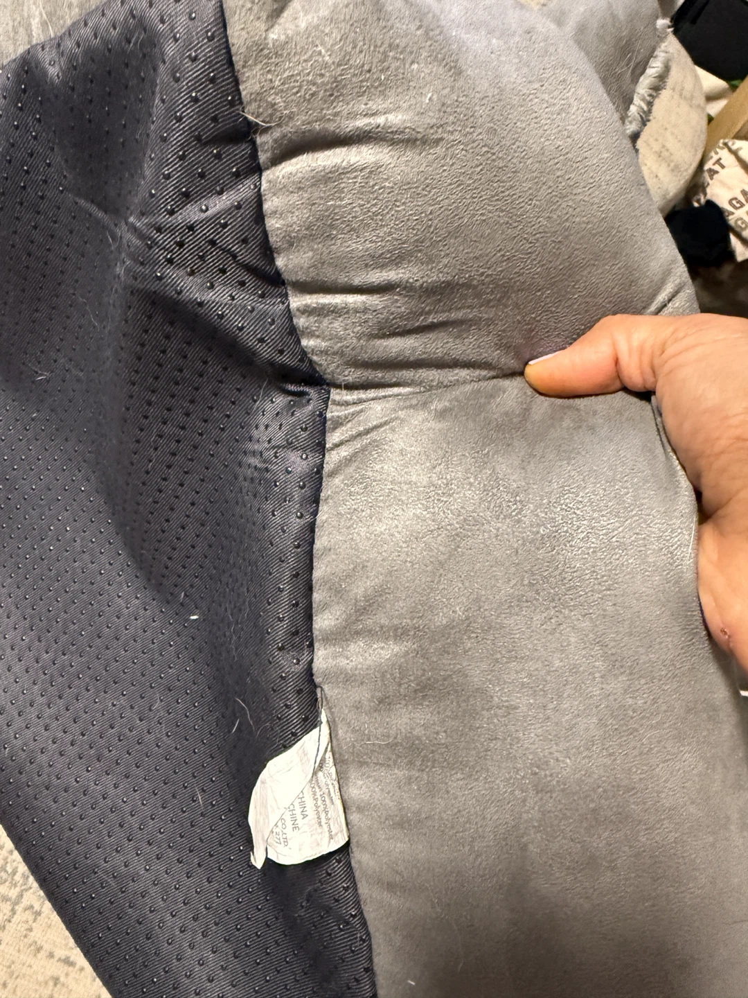 Gray Pet Bed with Blue Trim - photo 2