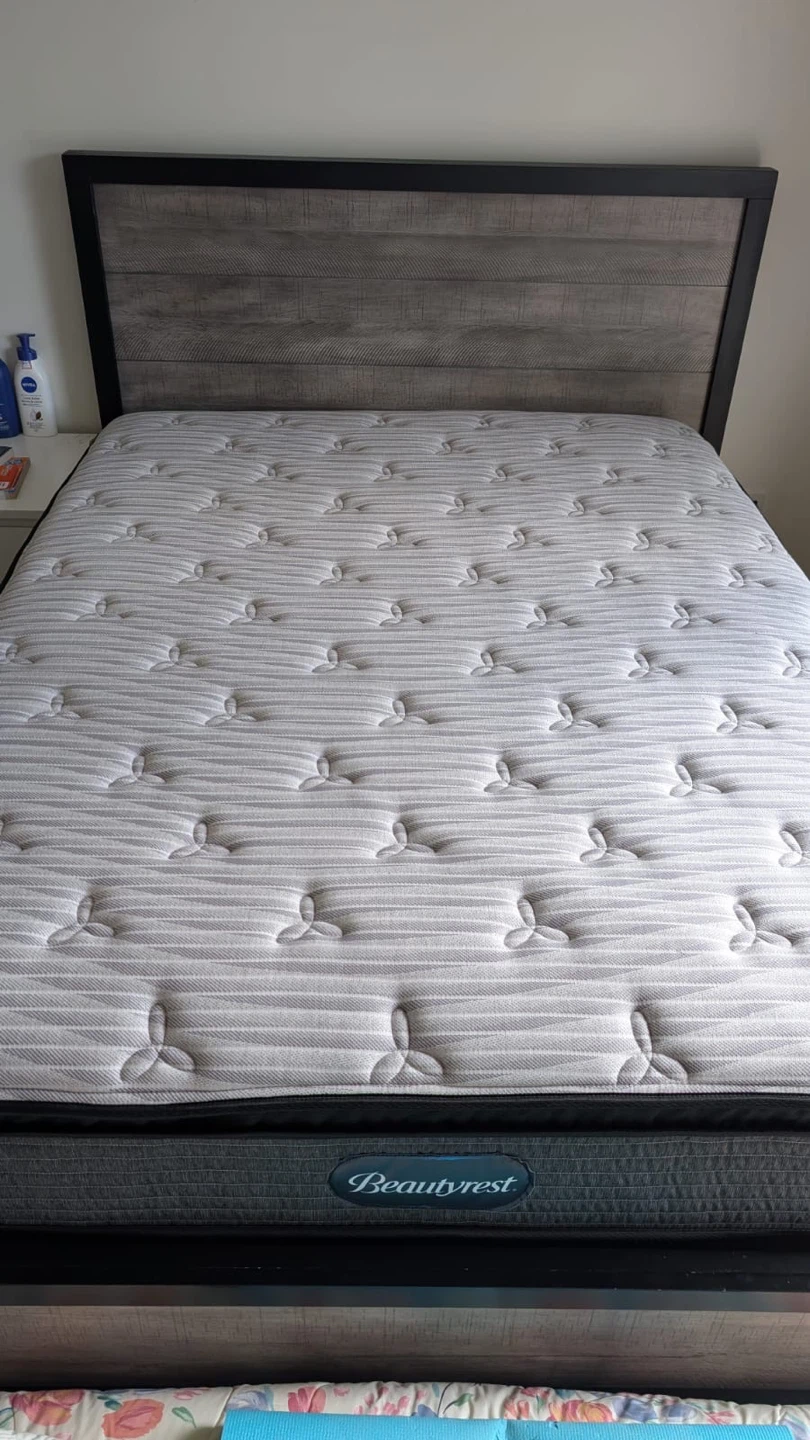 Queen bed frame + box spring + mattress + mattress protector