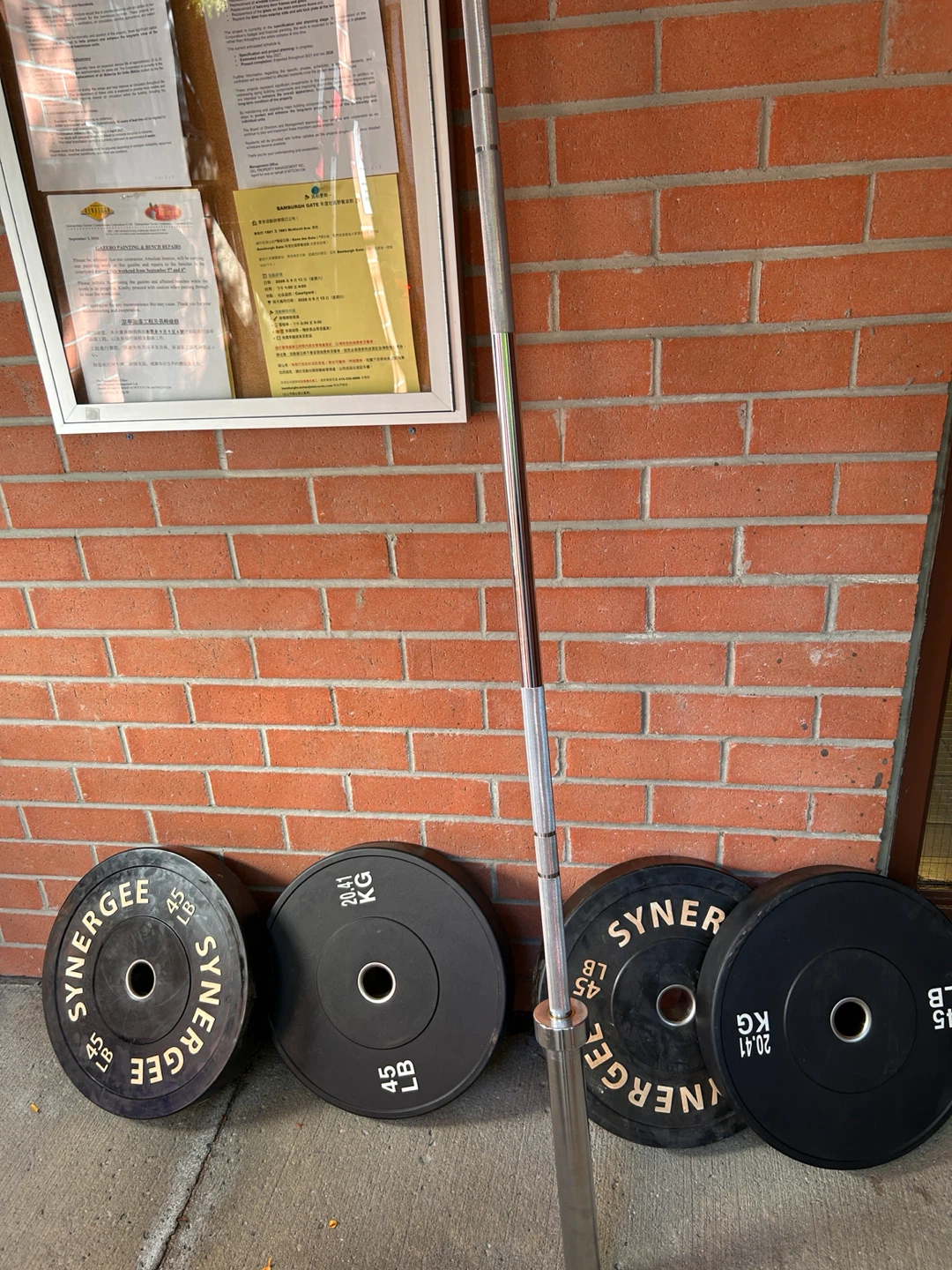 Olympus Barbell with Weight Plates