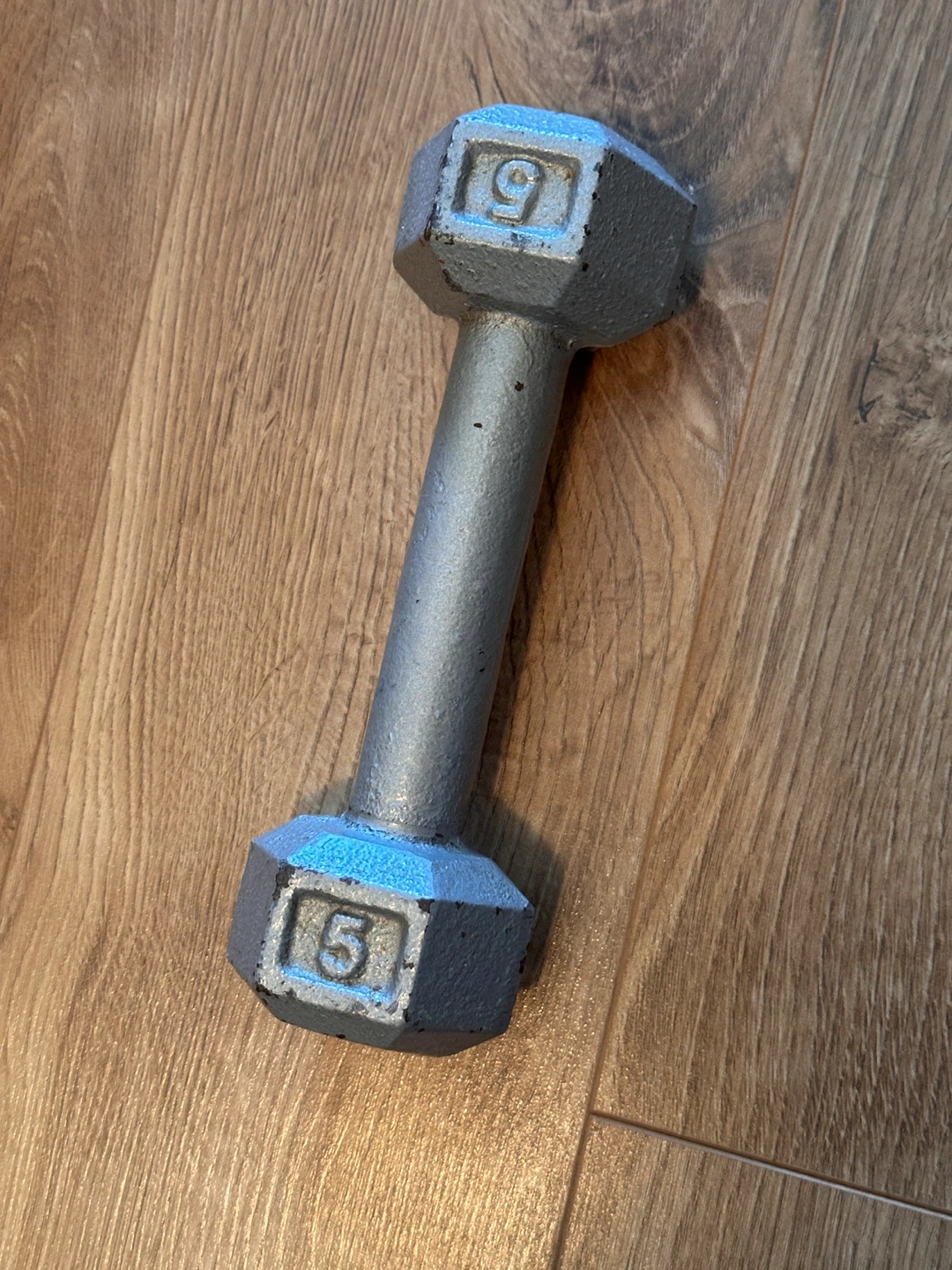 5 lb Cast Iron Hex Dumbbell