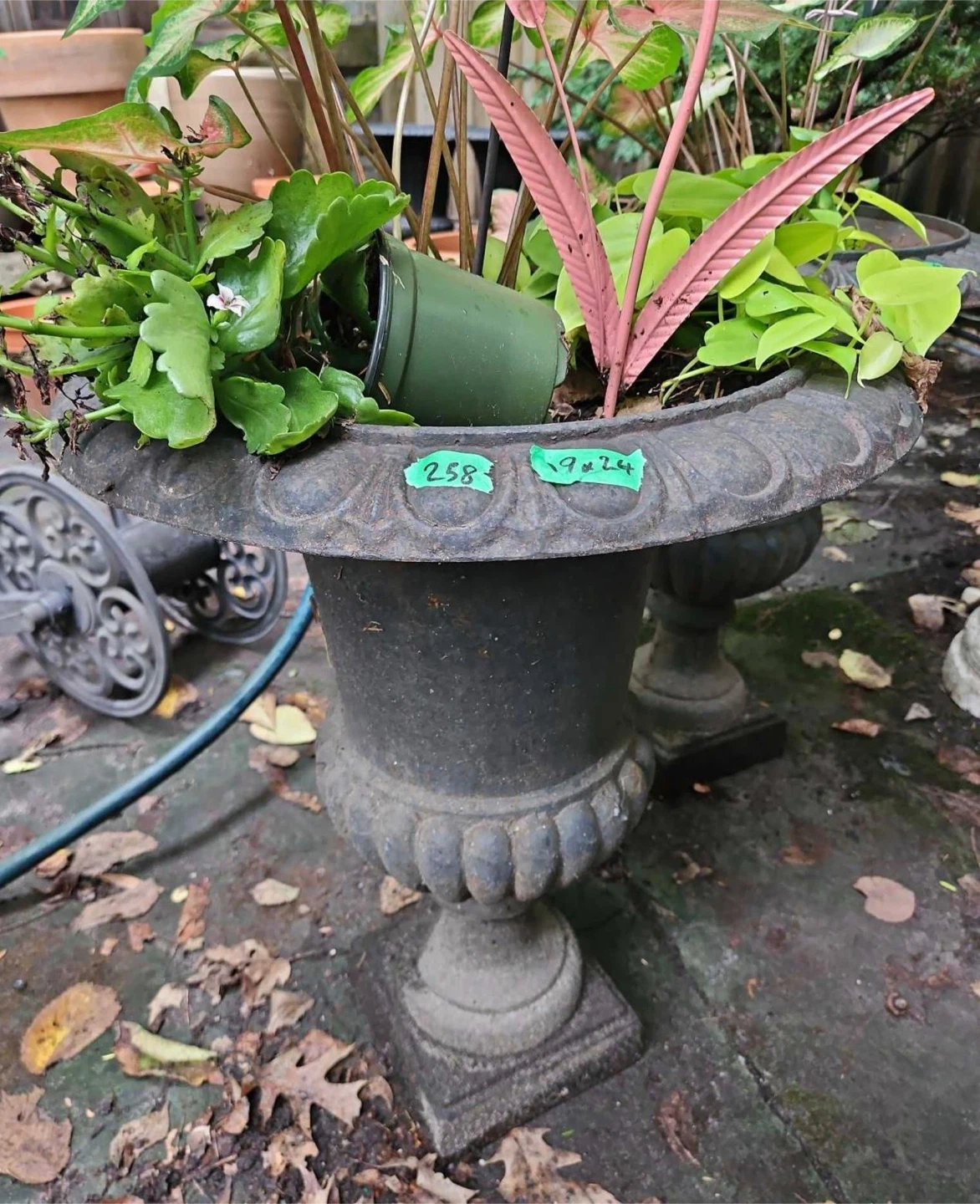 2 x Cast iron classical urn plantar (19”x25”) - photo 2