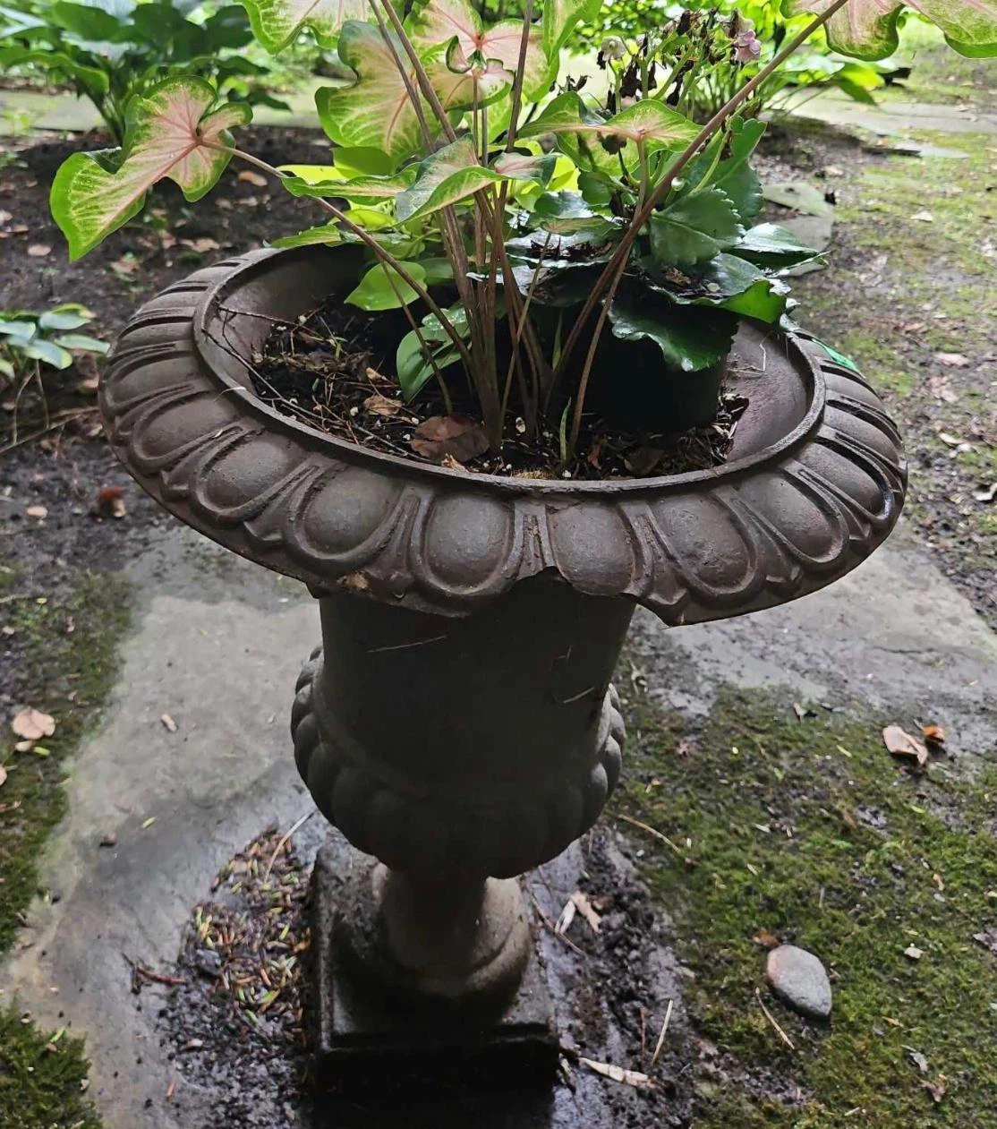 2 x Cast iron classical urn plantar (19”x25”) - photo 4