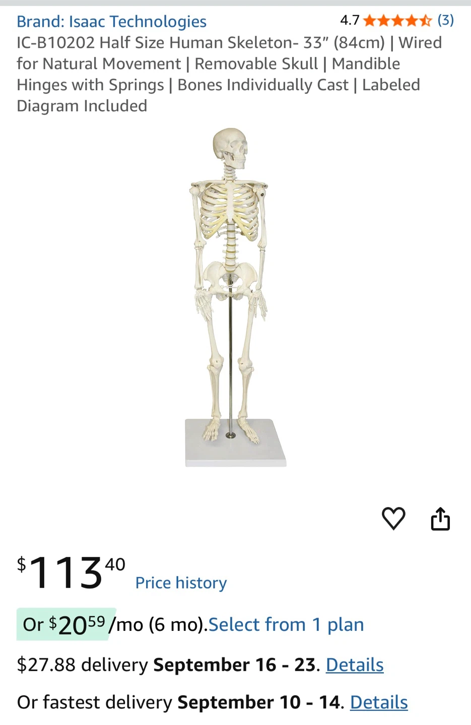 Teaching Human Skeleton