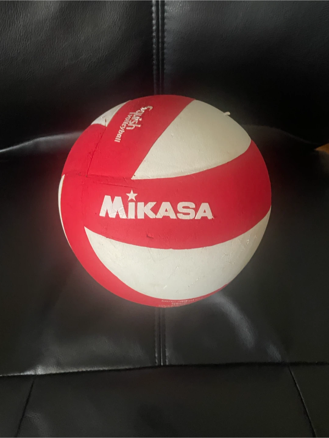 Mikasa Squish Volleyball