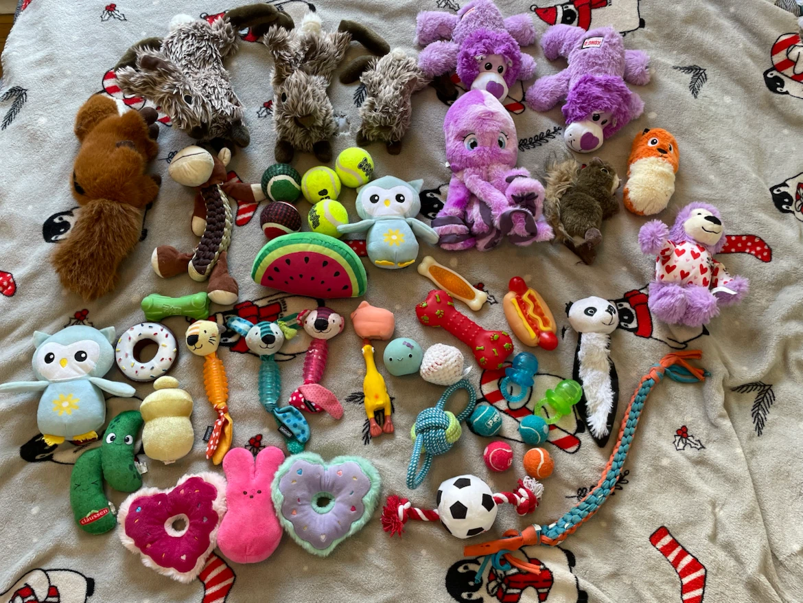 47pc Dog Toys Lot