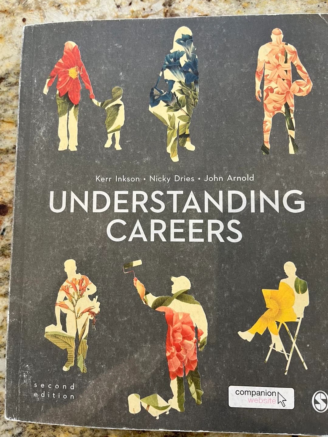 Understanding Careers, Second Edition