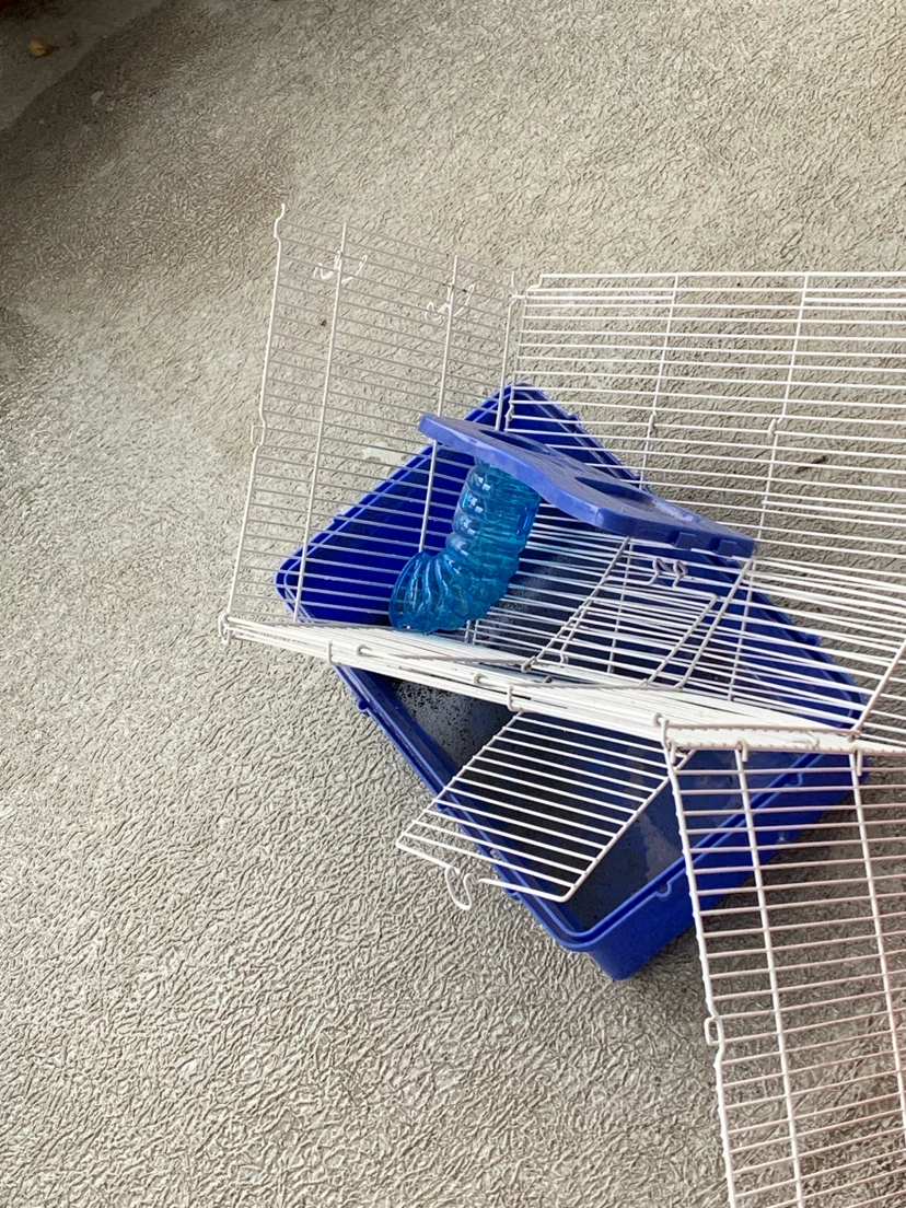 Hamster cage