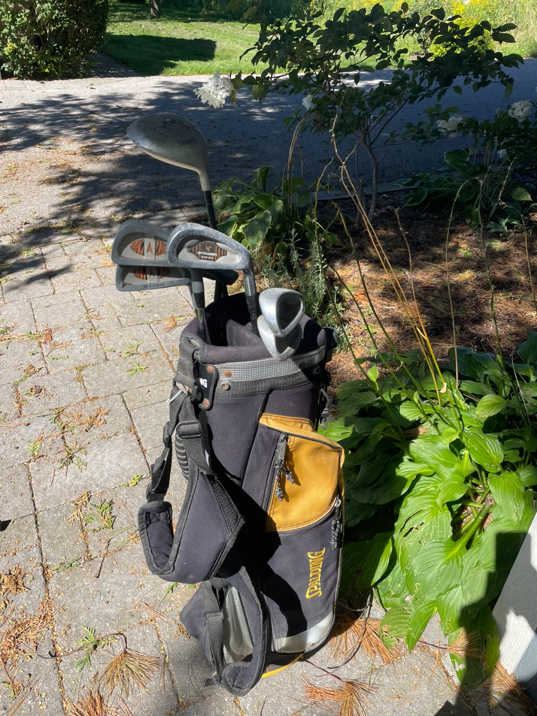 Kids right hand Golf Club Set with Bag R