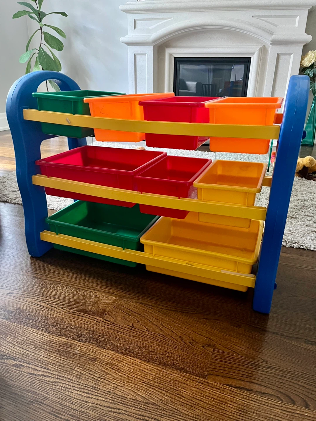Toy and Book Organizer