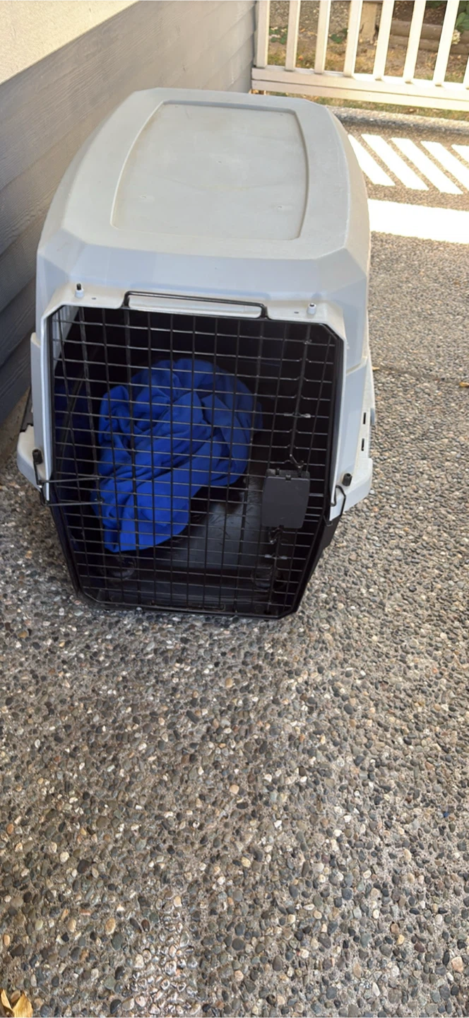 Petmate Dog Kennel