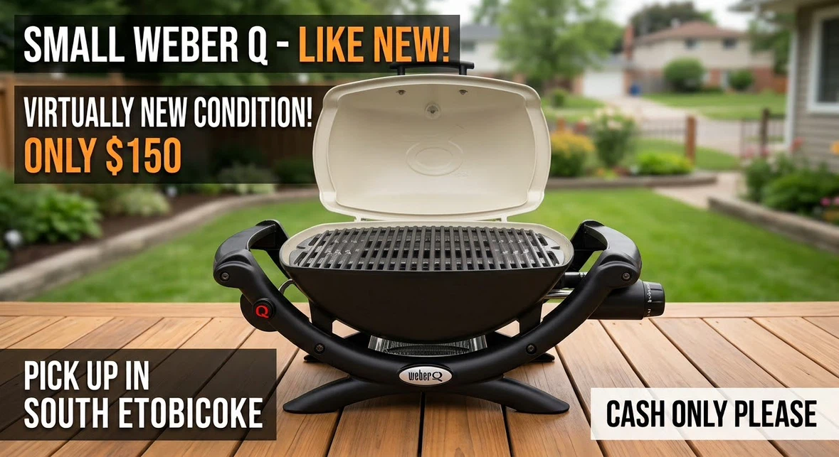 Weber Q Portable Grill