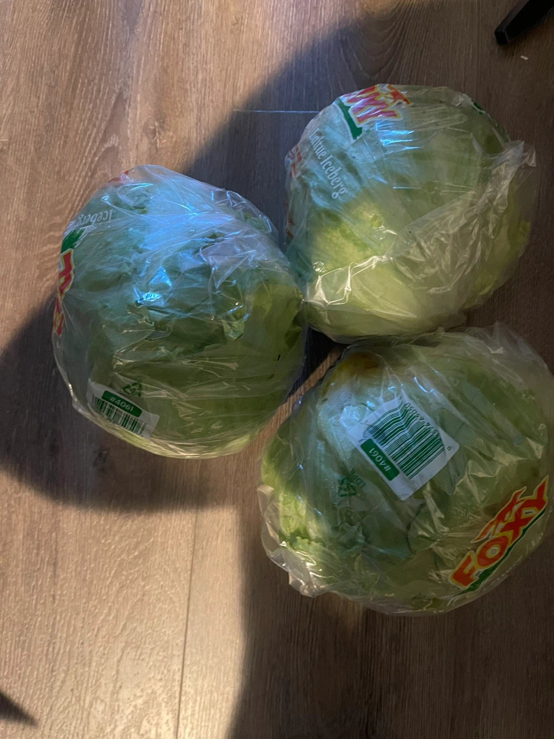3 Heads of Foxy Lettuce