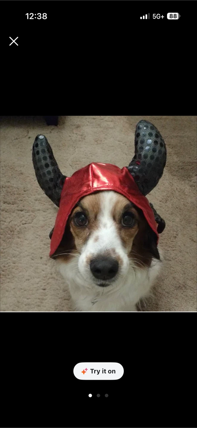 Red Devil Pet Costume