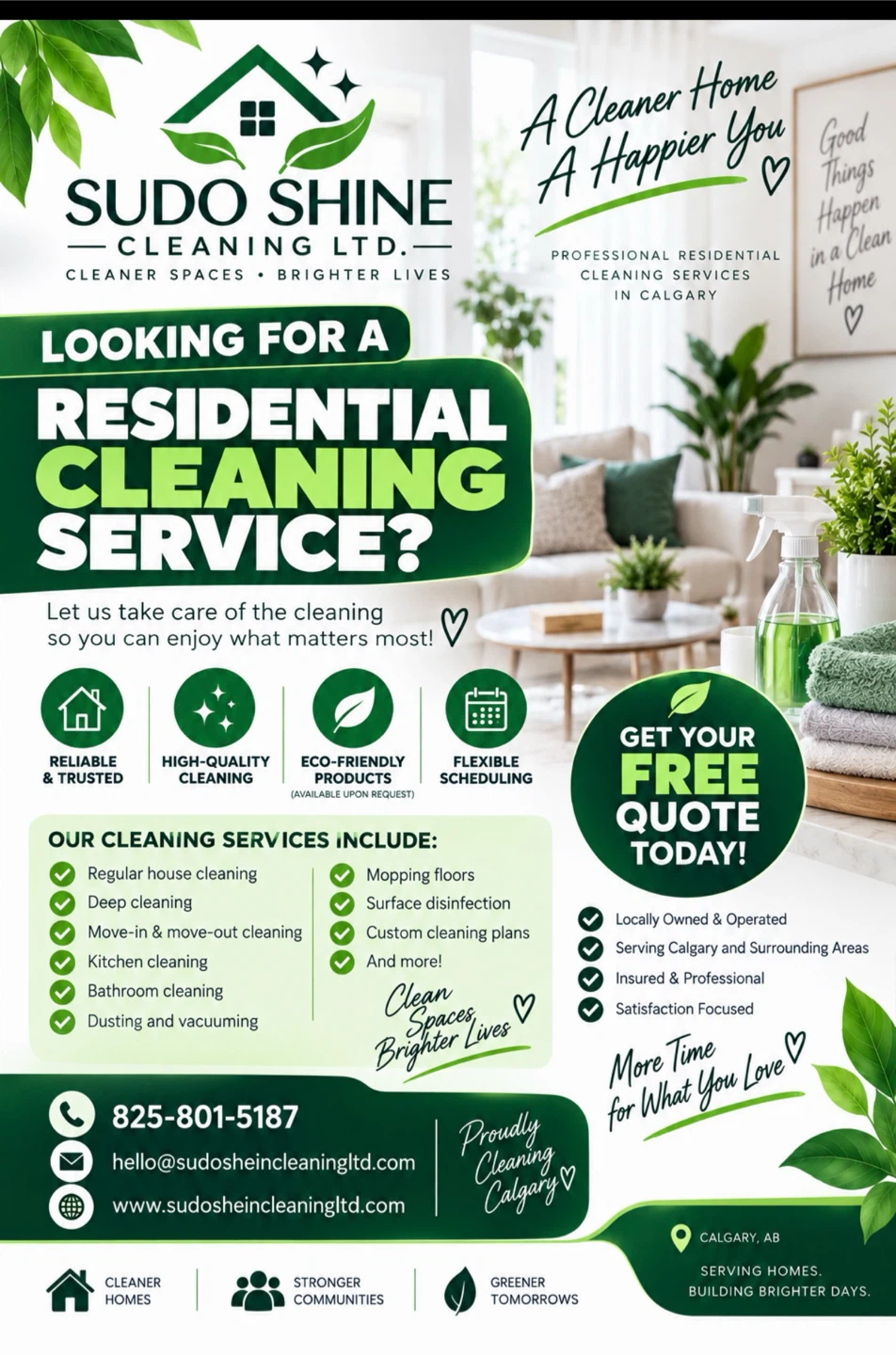 Cleaning service