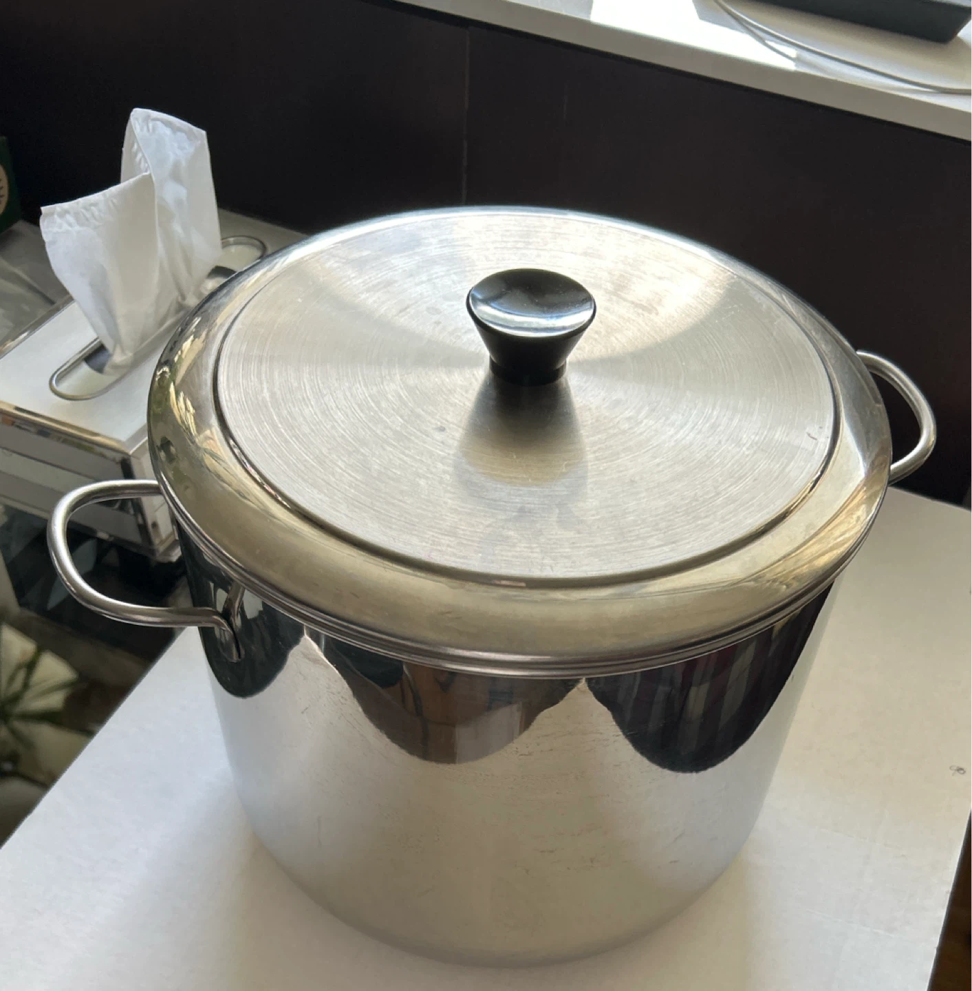 Large Stainless Steel Stock Pot with Rack