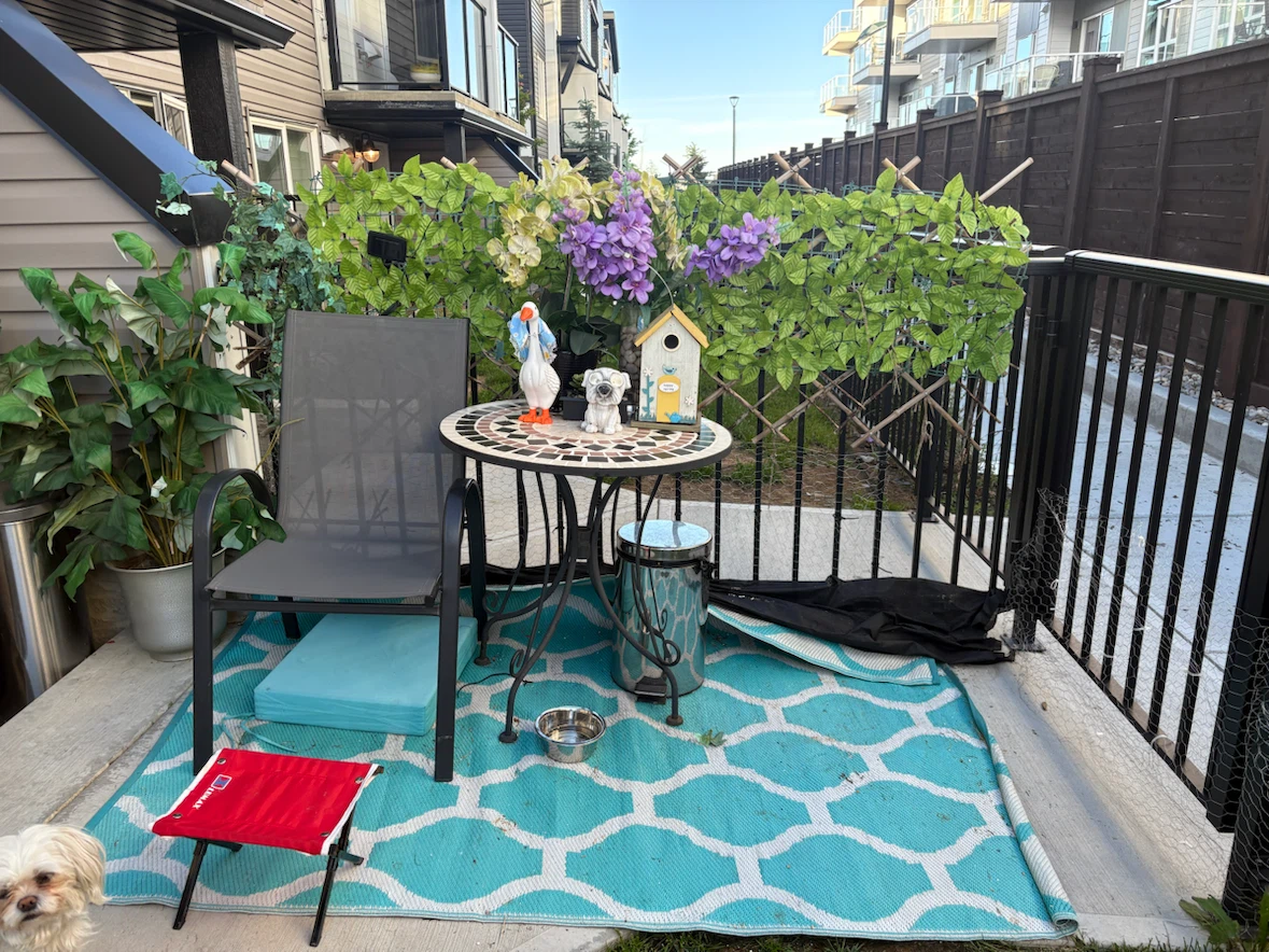 2 Turquoise Rugs and Patio Umbrellas - photo 4