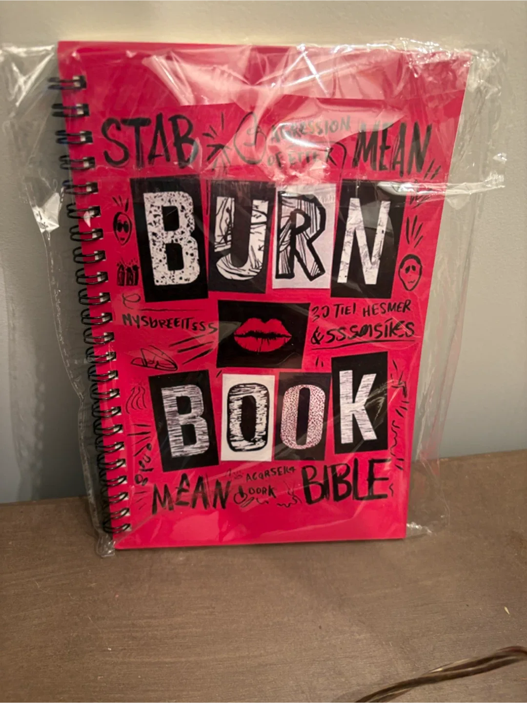 Mean Girls Burn Book Notebook and Pillow