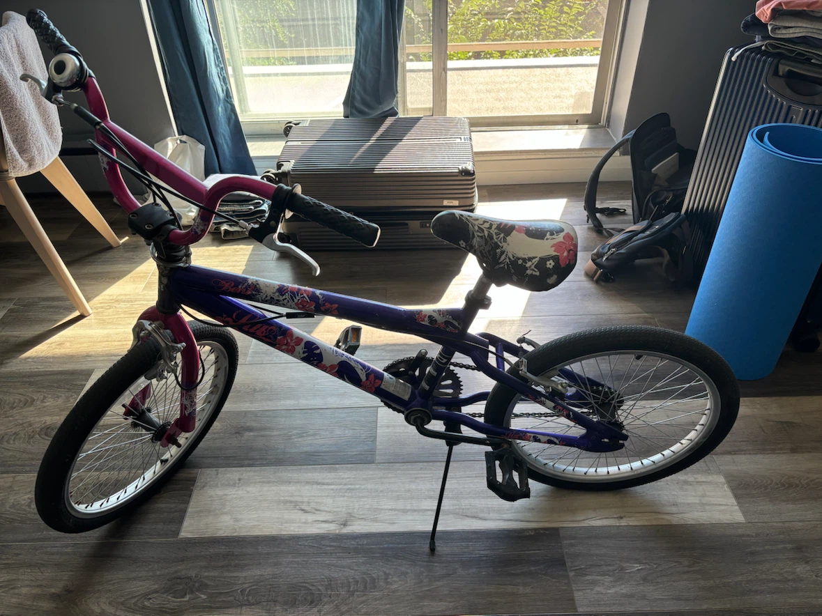 Girls 20-inch BMX Bike