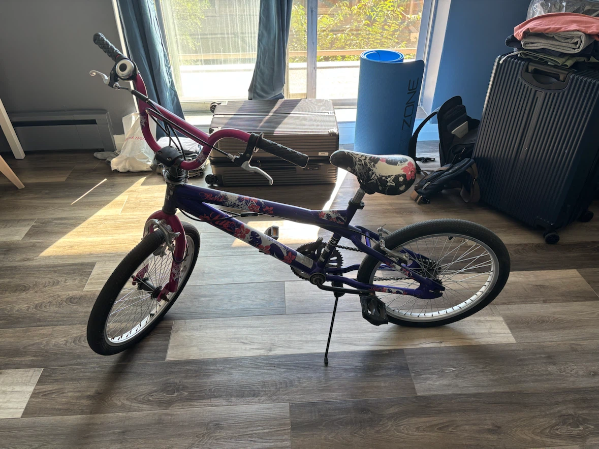 Girls 20-inch BMX Bike - photo 2