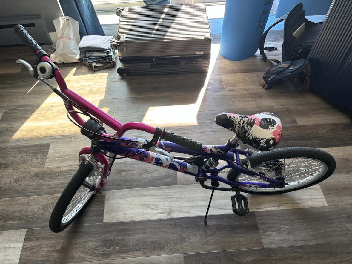 Girls 20-inch BMX Bike - photo 3