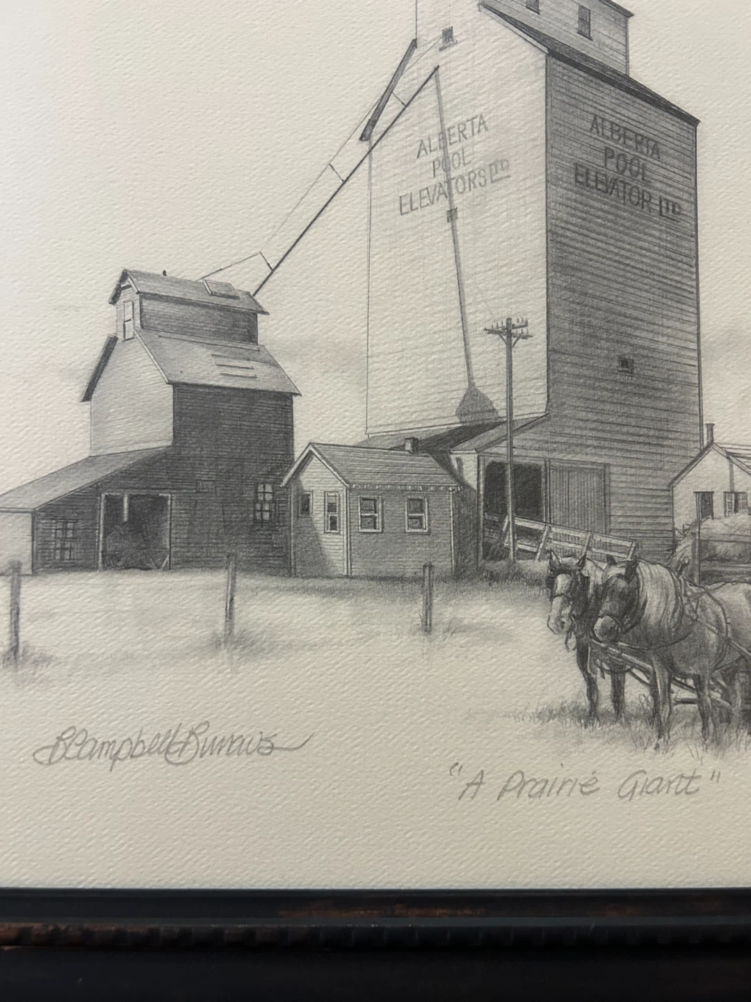 B. Campbell Burrows Signed Print A Prairie Giant - photo 3