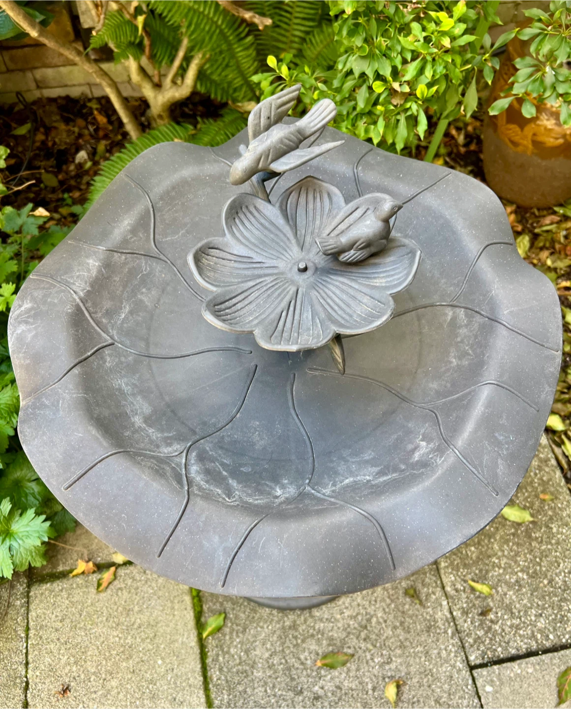 Birdbath