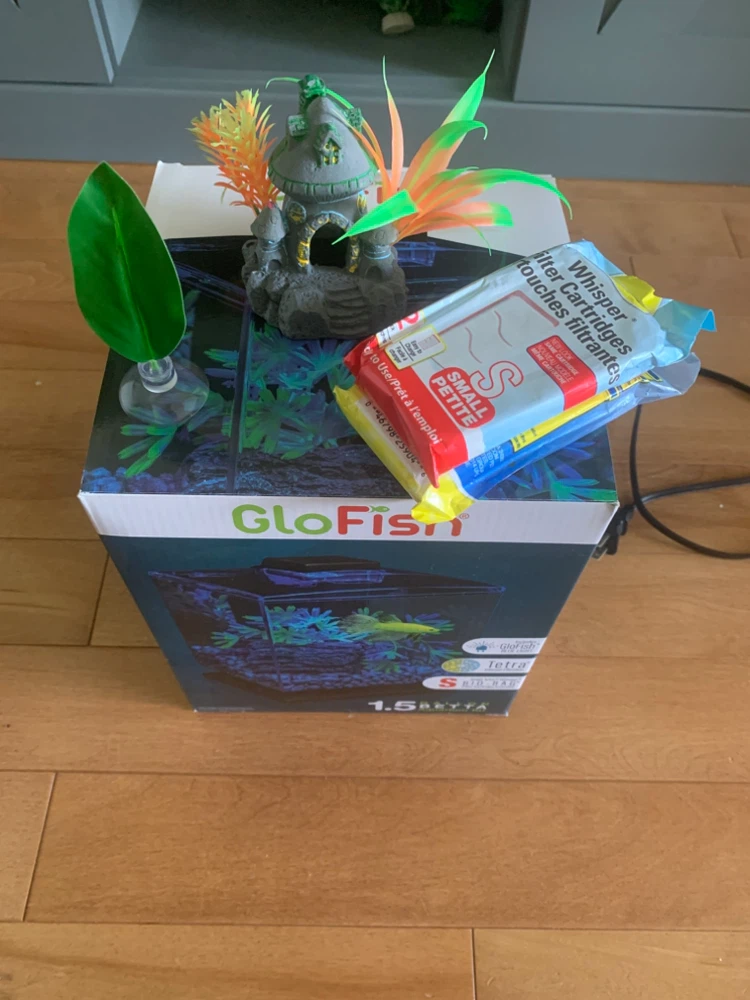 GloFish 1.5 Gallon Aquarium Kit