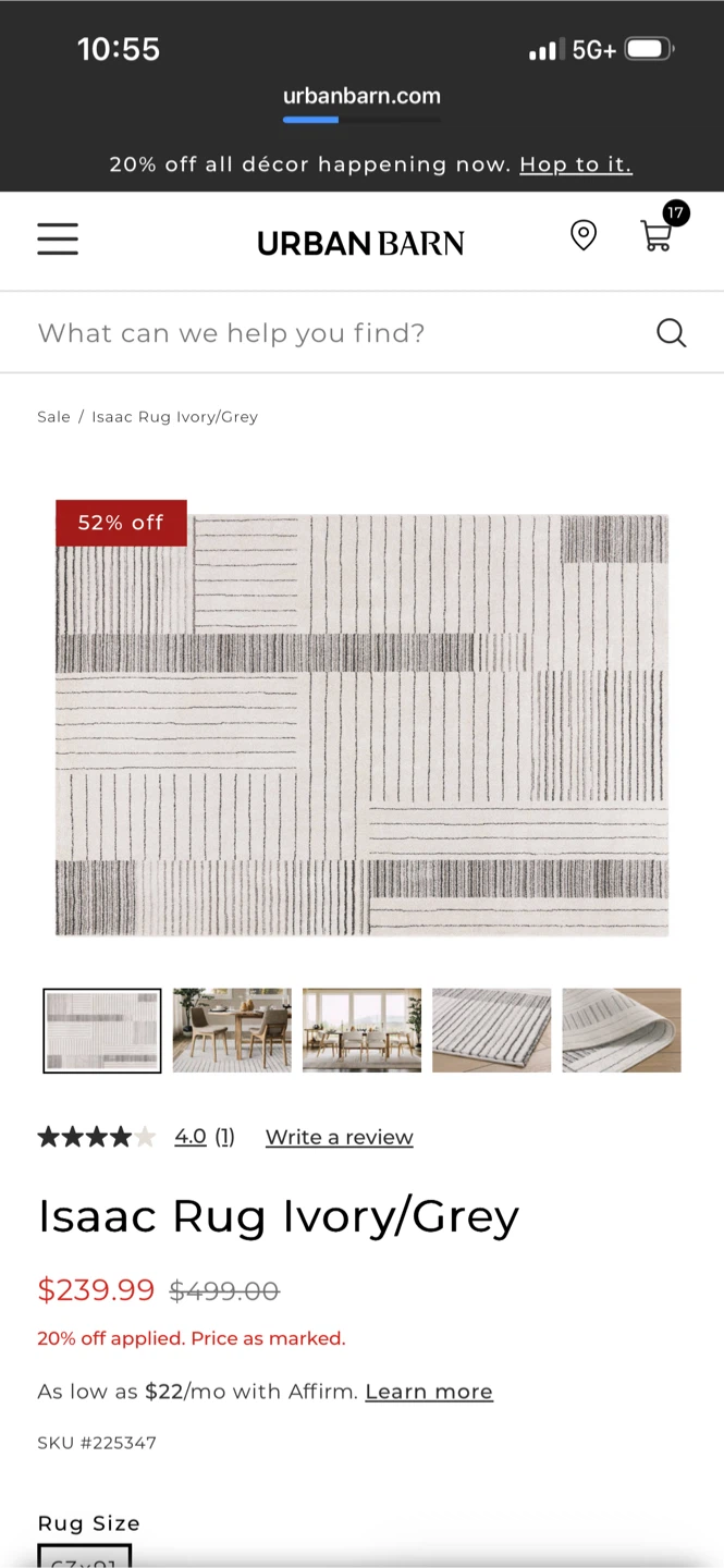Urban Barn Isaac Rug Ivory/Grey