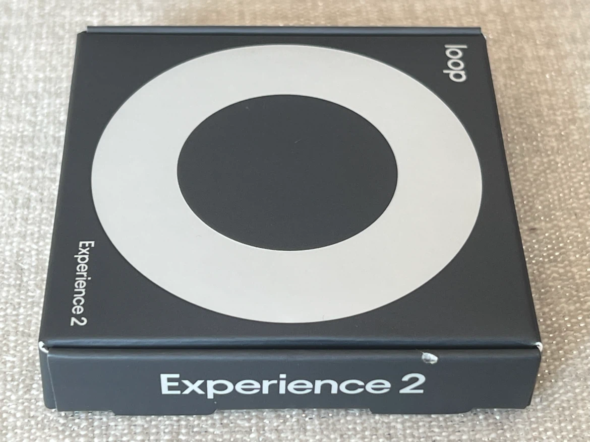 Loop Experience 2 Earplugs - Silver - photo 5