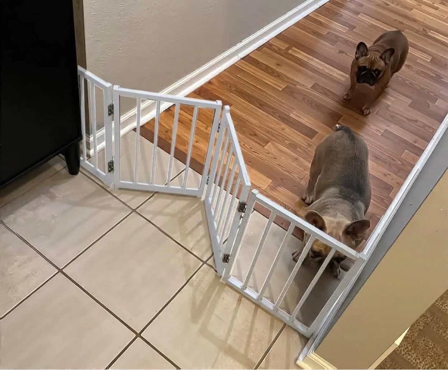 BFNN Small Dog Gate - Indoor - new - photo 2