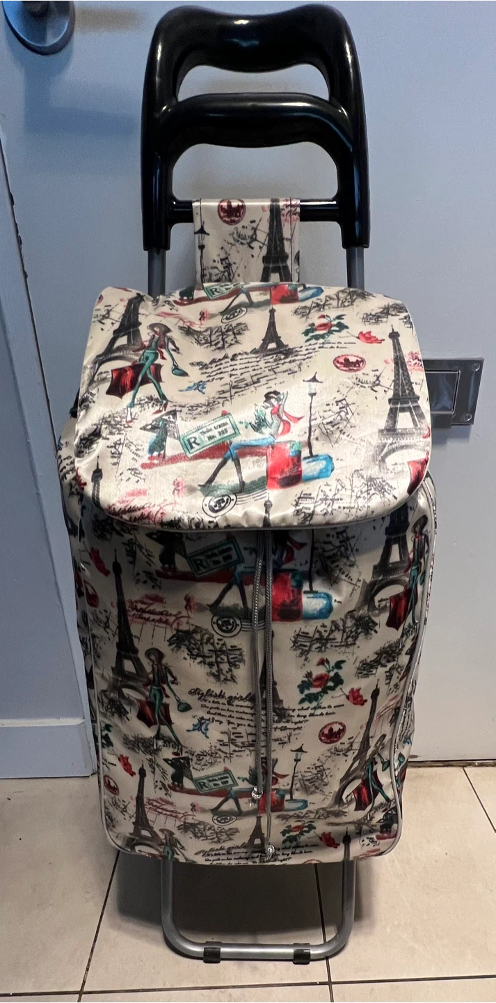 Paris Print Shopping Cart