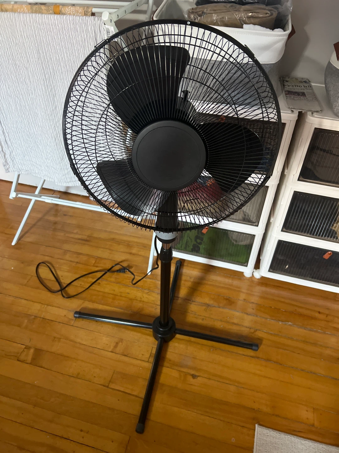 Black Standing Pedestal Fan