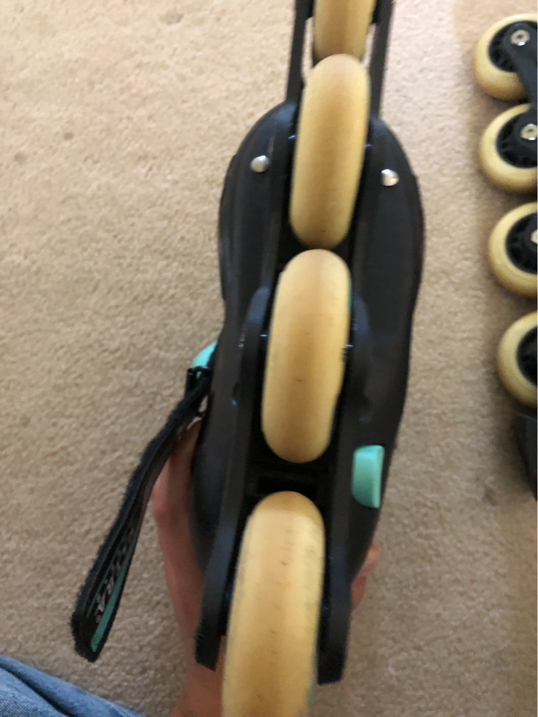 Roller Blades