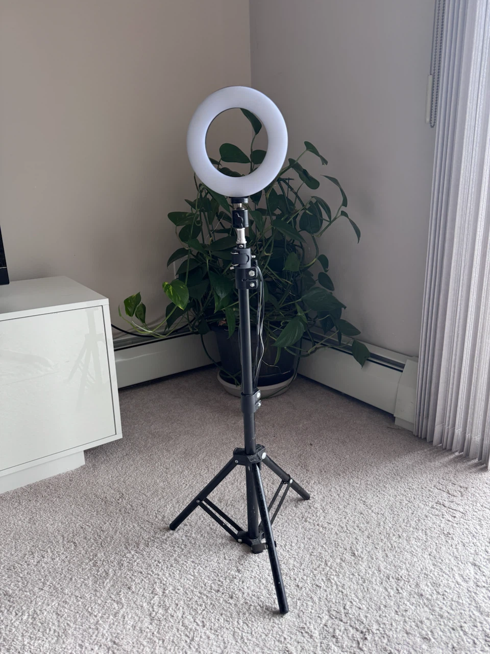 LED Ring Light with Tripod Stand