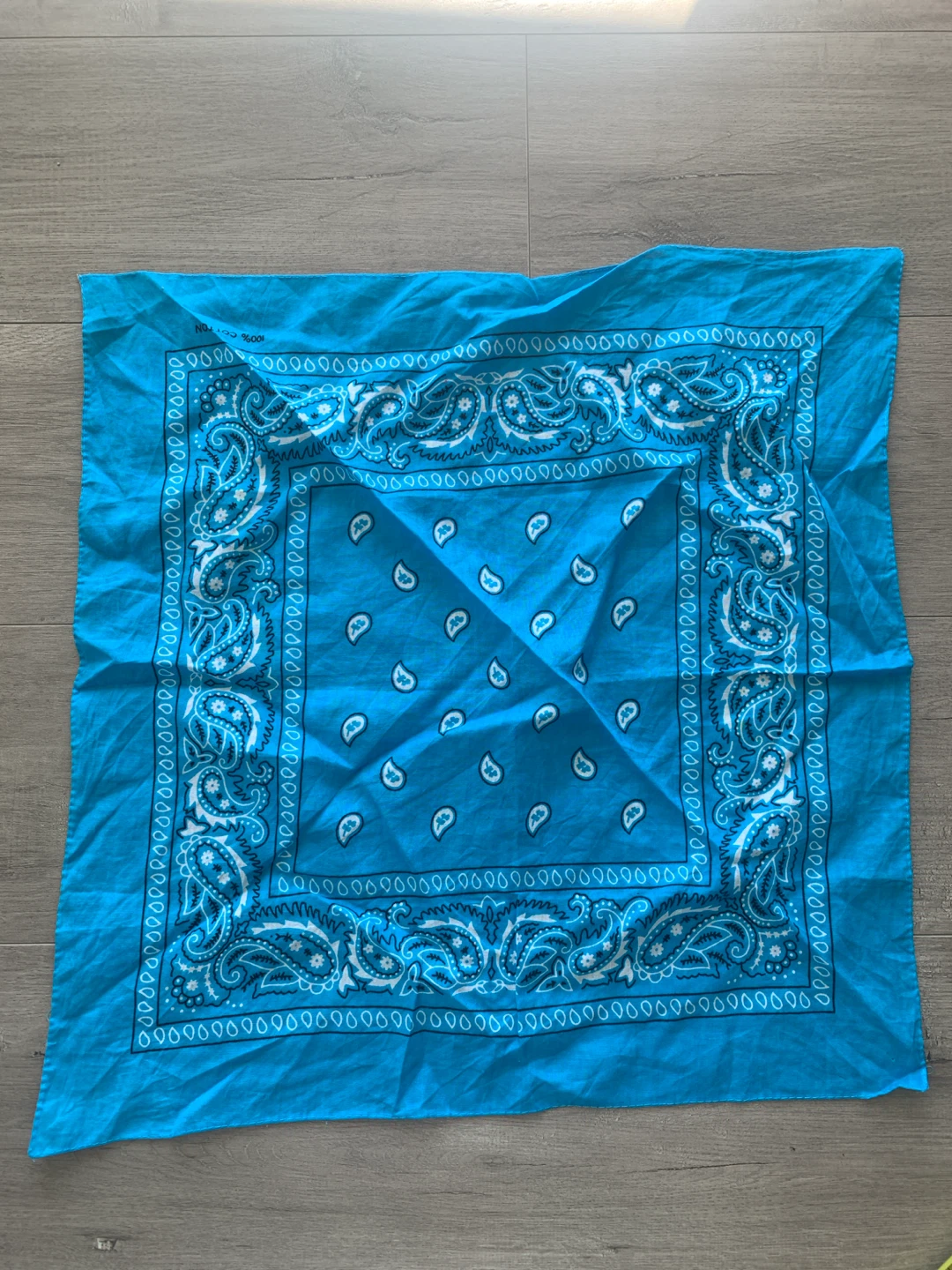 Blue Paisley Bandana